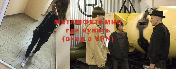 шишки Няндома