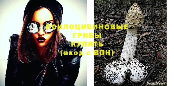 apvp Нягань