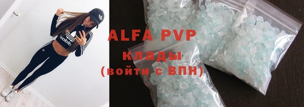шишки Няндома