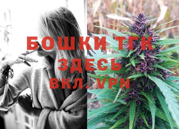 шишки Няндома