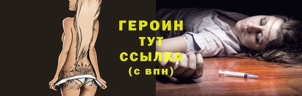 шишки Няндома