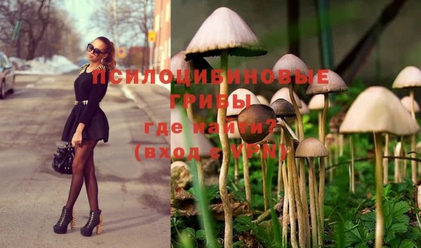 apvp Нязепетровск