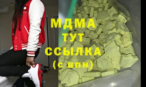 шишки Няндома