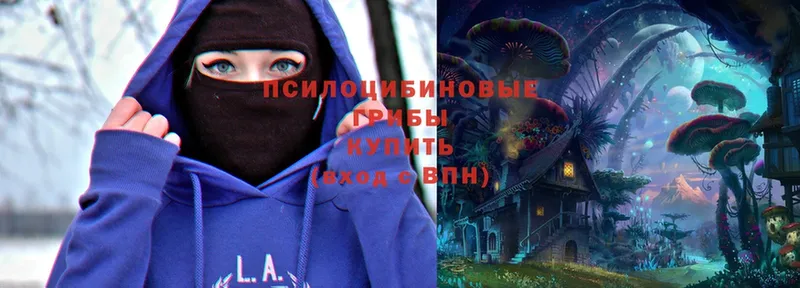 Псилоцибиновые грибы Magic Shrooms  KRAKEN ССЫЛКА  Власиха 